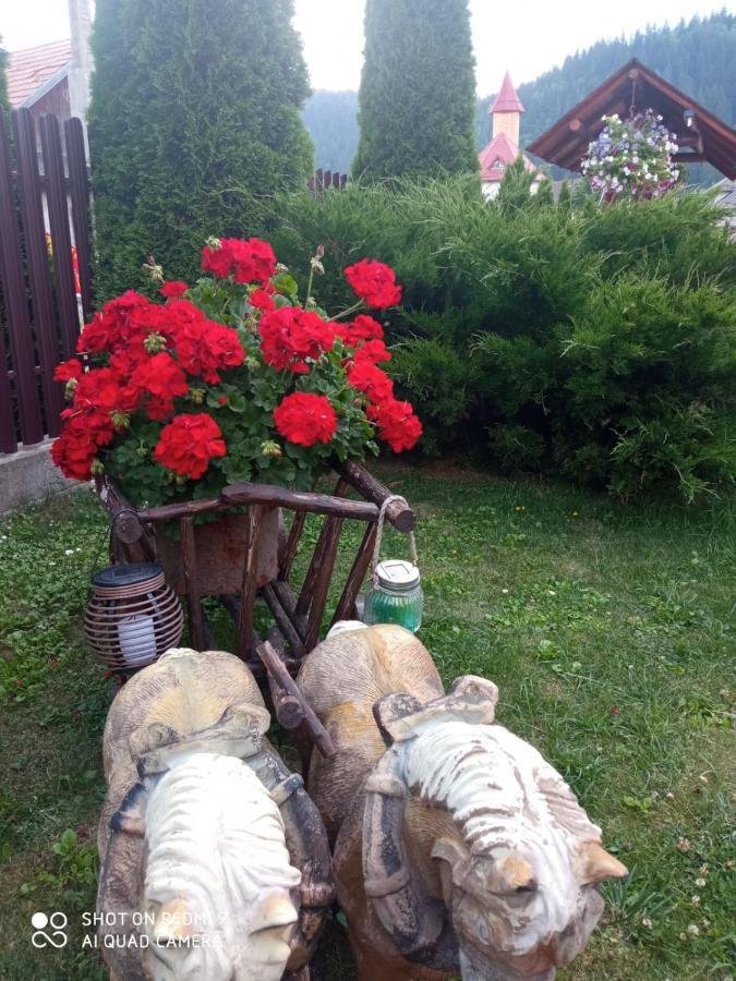 Casa Luca Panzió Vámfalu Kültér fotó